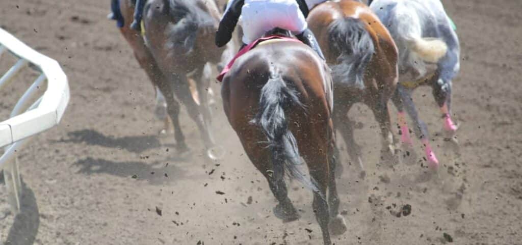 belmont-stakes-highlights-banner-1024x481-1