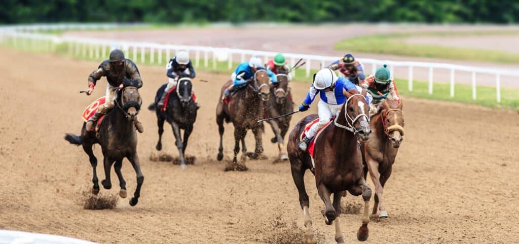 box-betting-banner-horse-racing-1024x481-1