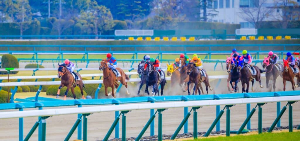 classic-horse-races-banner-image