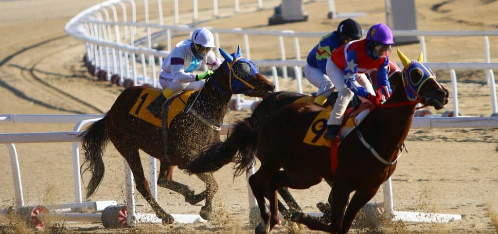 nakayama-racecourse-champions-banner-image-1024x481-1