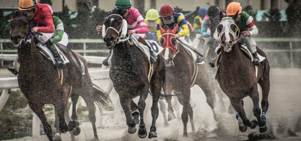 premium-horse-races-banner-image