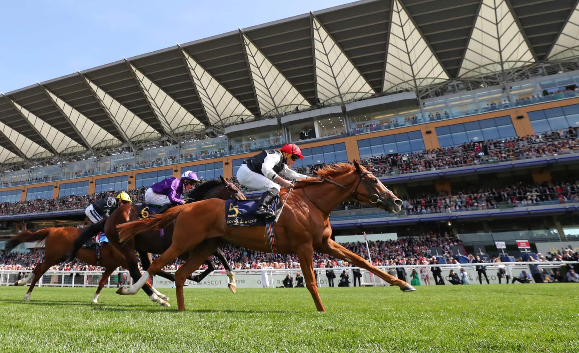 金色ジョッキー日の丸アディダス競馬イエロー乗馬 馬94日本代表